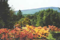 John F. Kennedy Arboretum